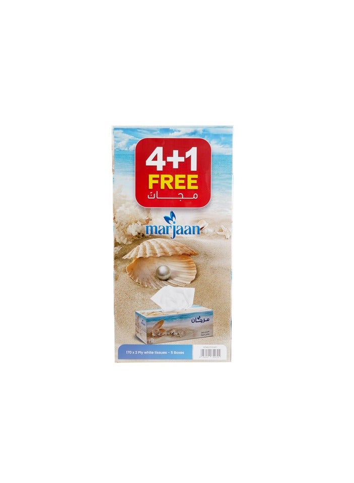 Facial Tissue Pocket Packs Super Saver Deal 170 Sheets x 30 4 Plus 1 Offer